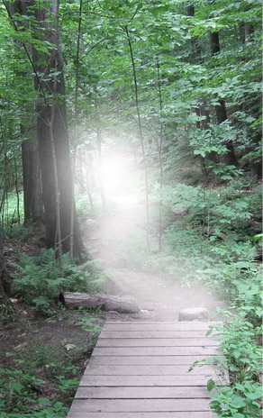 For&ecirc;t